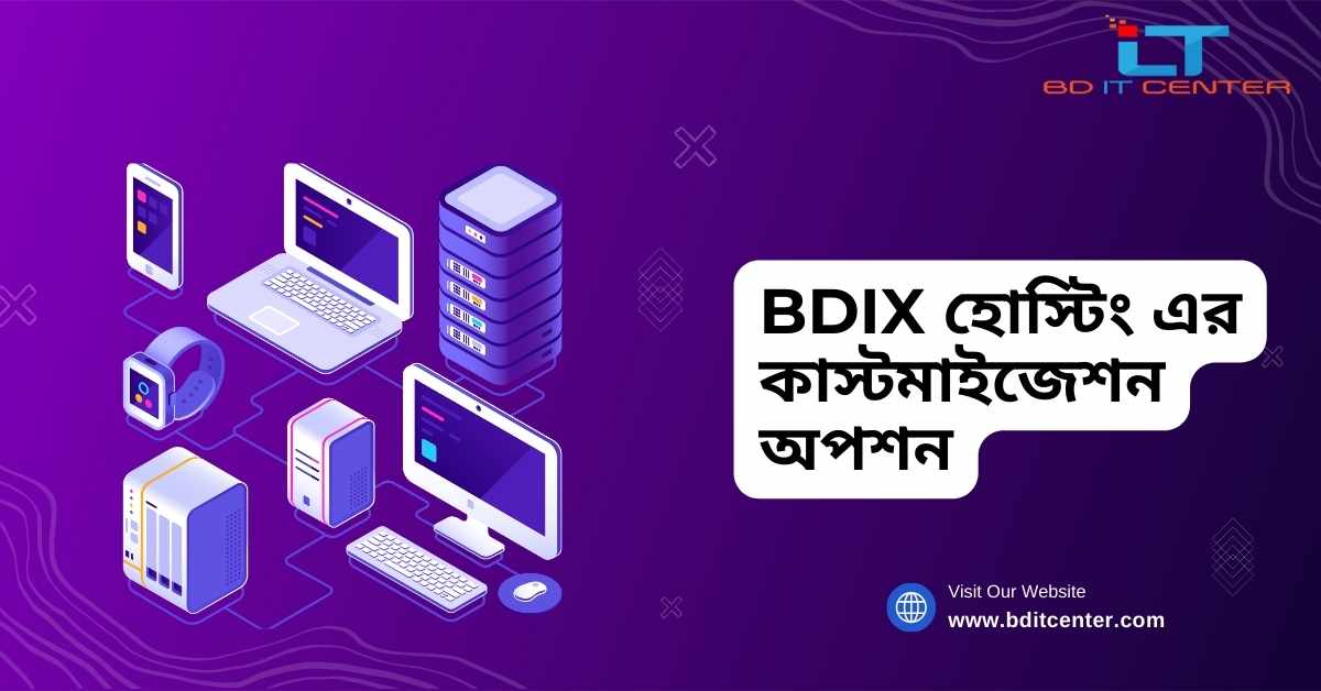 BDIX হোস্টিং এর কাস্টমাইজেশন অপশন: বাংলাদেশে সেরা BD IT CENTER এর পরিষেবা