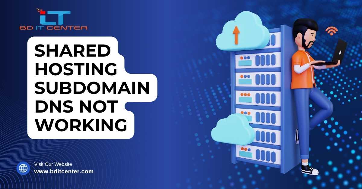 Shared Hosting Subdomain DNS Not Working Fix BD